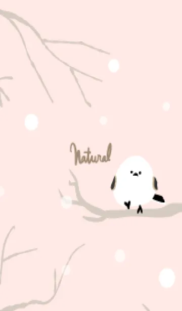 [LINE着せ替え] シマエナガ 雪2の画像1