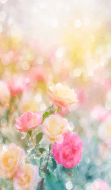 [LINE着せ替え] 薔薇(バラ)の花の着せかえ(R1644)の画像1