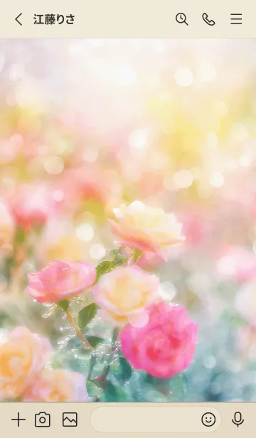 [LINE着せ替え] 薔薇(バラ)の花の着せかえ(R1644)の画像2