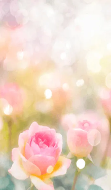 [LINE着せ替え] 薔薇(バラ)の花の着せかえ(R1651)の画像1