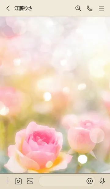 [LINE着せ替え] 薔薇(バラ)の花の着せかえ(R1651)の画像2