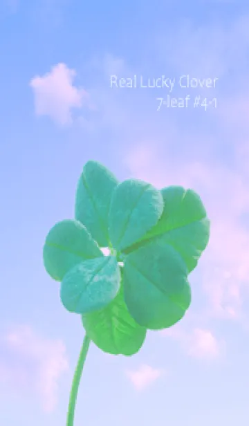 [LINE着せ替え] 本物ラッキークローバー 7-leaf #4-1の画像1