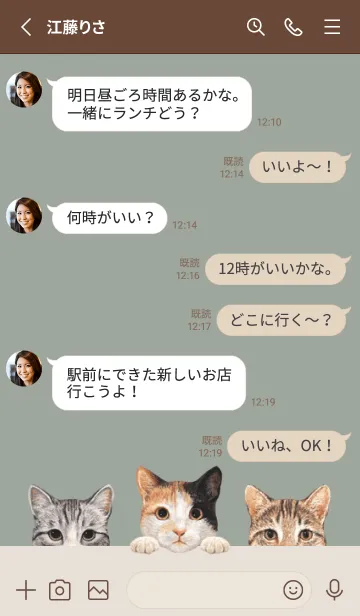 [LINE着せ替え] 猫 - ミックス 01 - グリーングレーの画像3