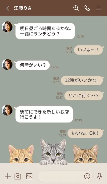 [LINE着せ替え] 猫 - ミックス 03 - グリーングレーの画像3