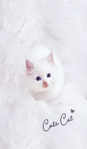 [LINE着せ替え] violet♡ふわふわな猫04_1の画像1