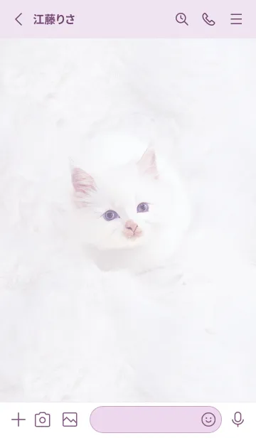 [LINE着せ替え] violet♡ふわふわな猫04_1の画像2