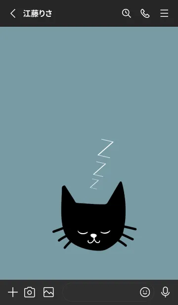 [LINE着せ替え] スリープ キャット 27の画像2