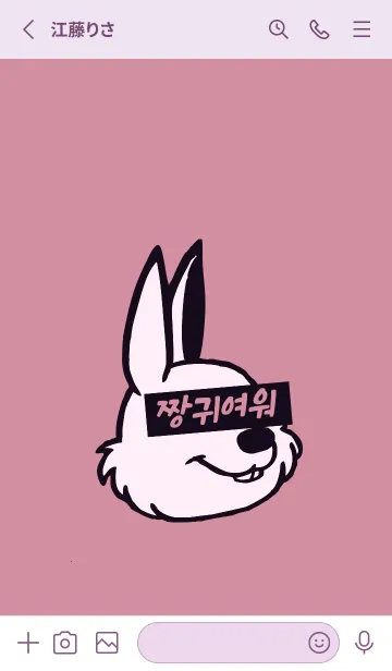 [LINE着せ替え] KOREA RABBIT THEME 119の画像2