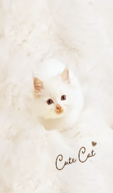 [LINE着せ替え] beige♡ふわふわな猫05_1の画像1