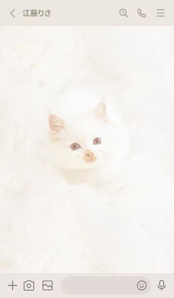[LINE着せ替え] beige♡ふわふわな猫05_1の画像2