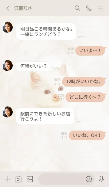 [LINE着せ替え] beige♡ふわふわな猫05_1の画像3