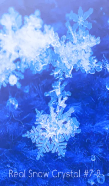 [LINE着せ替え] Real Snow Crystal #7-8の画像1