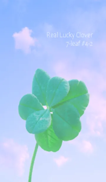 [LINE着せ替え] 本物ラッキークローバー 7-leaf #4-2の画像1