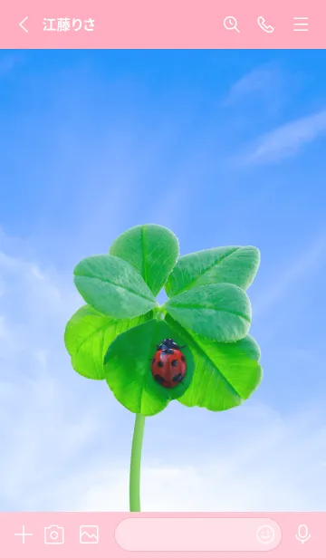 [LINE着せ替え] 本物ラッキークローバー & Ladybird #4-2の画像2