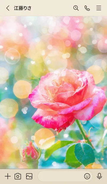 [LINE着せ替え] 薔薇(バラ)の花の着せかえ(R1724)の画像2