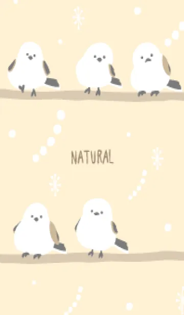 [LINE着せ替え] シマエナガ 冬16の画像1