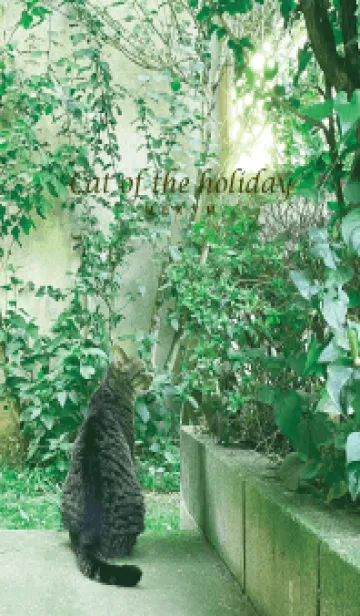 [LINE着せ替え] Cat of the holiday-GREEN 3の画像1