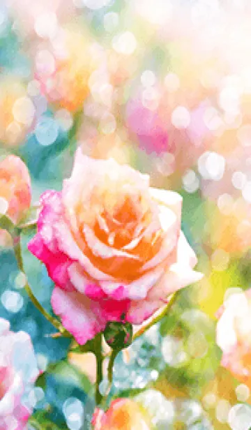 [LINE着せ替え] 薔薇(バラ)の花の着せかえ(R1732)の画像1