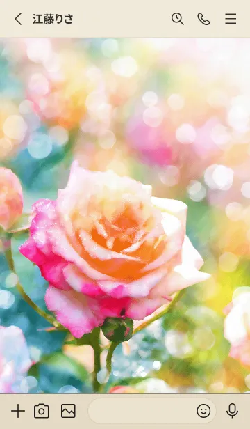 [LINE着せ替え] 薔薇(バラ)の花の着せかえ(R1732)の画像2