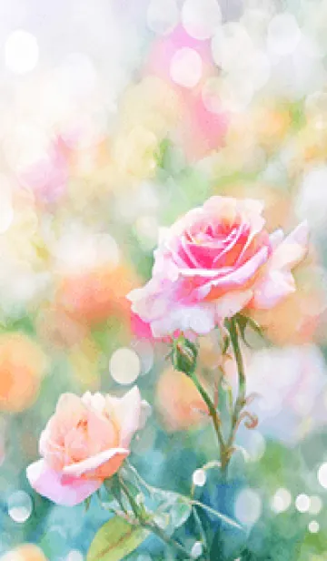 [LINE着せ替え] 薔薇(バラ)の花の着せかえ(R1736)の画像1