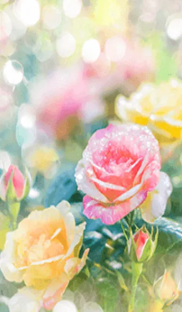 [LINE着せ替え] 薔薇(バラ)の花の着せかえ(R1738)の画像1