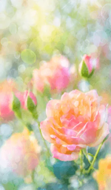 [LINE着せ替え] 薔薇(バラ)の花の着せかえ(R1743)の画像1