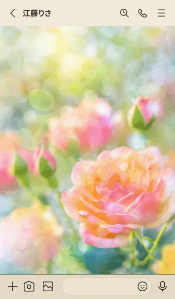 [LINE着せ替え] 薔薇(バラ)の花の着せかえ(R1743)の画像2