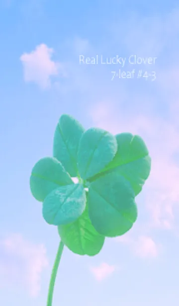 [LINE着せ替え] 本物ラッキークローバー 7-leaf #4-3の画像1