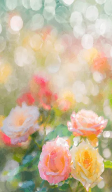 [LINE着せ替え] 薔薇(バラ)の花の着せかえ(R1758)の画像1