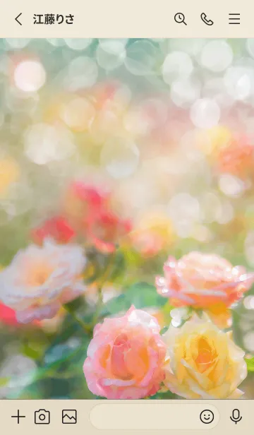 [LINE着せ替え] 薔薇(バラ)の花の着せかえ(R1758)の画像2