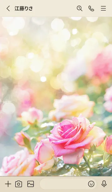 [LINE着せ替え] 薔薇(バラ)の花の着せかえ(R1759)の画像2