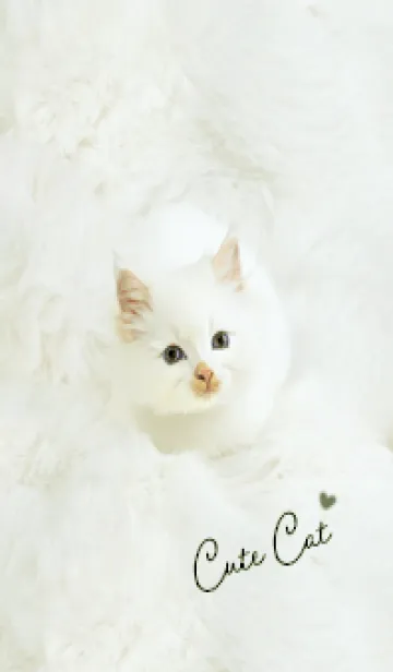 [LINE着せ替え] green♡ふわふわな猫06_1の画像1