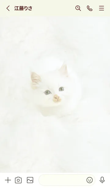 [LINE着せ替え] green♡ふわふわな猫06_1の画像2