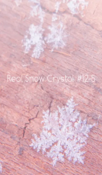 [LINE着せ替え] Real Snow Crystal #12-5の画像1