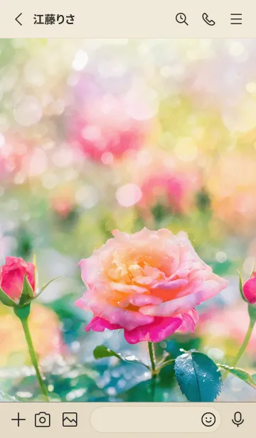 [LINE着せ替え] 薔薇(バラ)の花の着せかえ(R1791)の画像2