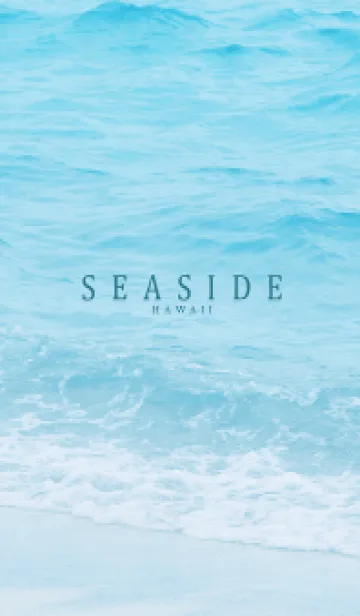 SEASIDE HAWAII-MEKYM 12の着せ替えメイン画像