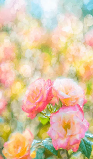 [LINE着せ替え] 薔薇(バラ)の花の着せかえ(R1805)の画像1