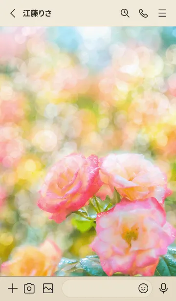 [LINE着せ替え] 薔薇(バラ)の花の着せかえ(R1805)の画像2