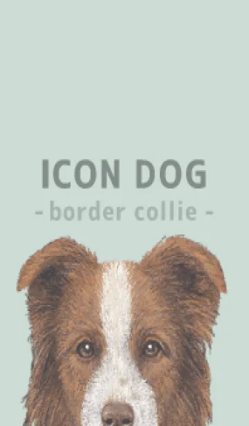 [LINE着せ替え] ICON DOG - ボーダーコリー - PASTEL GR/04の画像1