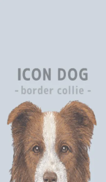 [LINE着せ替え] ICON DOG - ボーダーコリー - PASTEL BL/04の画像1