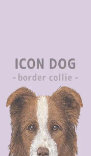 [LINE着せ替え] ICON DOG - ボーダーコリー - PASTEL PL/04の画像1