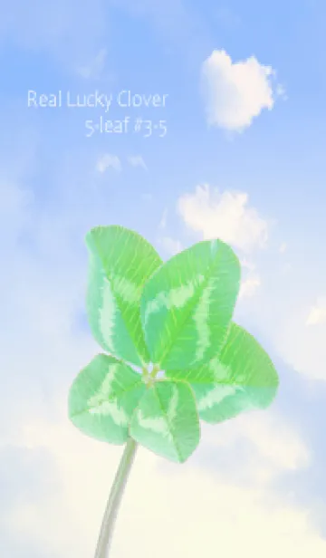 [LINE着せ替え] 本物ラッキークローバー 5-leaf #3-5の画像1