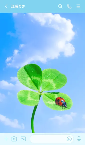 [LINE着せ替え] 本物ラッキークローバー & Ladybird #1-5の画像2