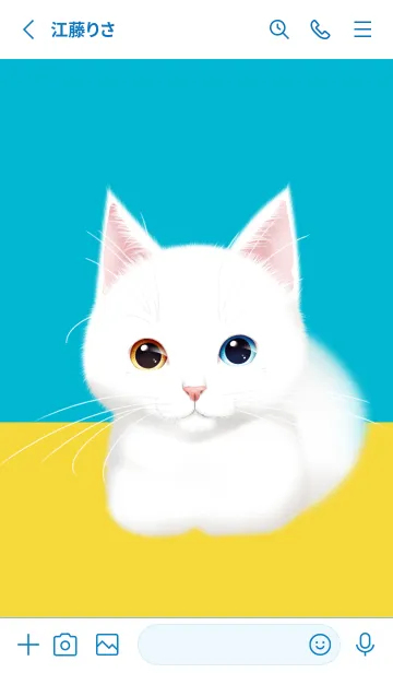 [LINE着せ替え] Odd eye catの画像2