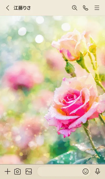 [LINE着せ替え] 薔薇(バラ)の花の着せかえ(R1845)の画像2