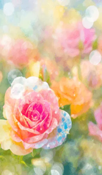 [LINE着せ替え] 薔薇(バラ)の花の着せかえ(R1843)の画像1