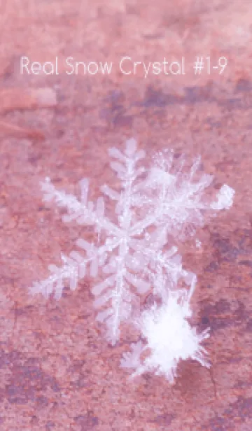 [LINE着せ替え] Real Snow Crystal #1-9の画像1