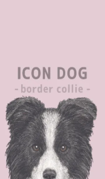 [LINE着せ替え] ICON DOG - ボーダーコリー - PASTEL PK/05の画像1
