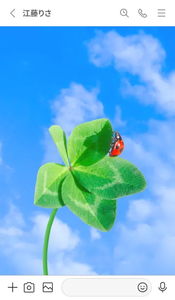 [LINE着せ替え] 本物ラッキークローバー & Ladybird #2-5の画像2