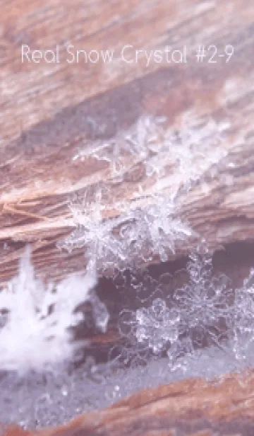 [LINE着せ替え] Real Snow Crystal #2-9の画像1